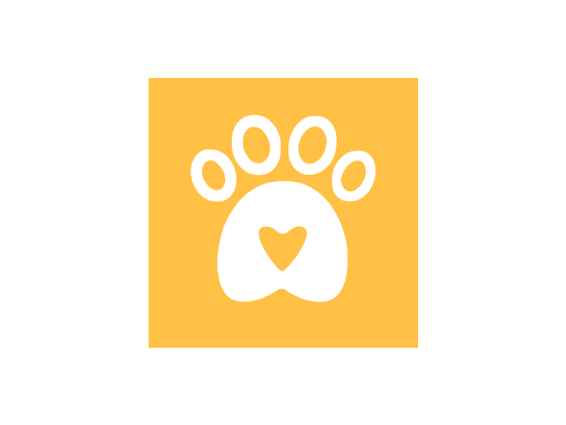 Portfolio-title